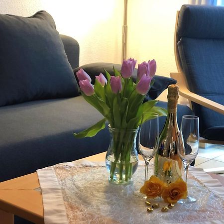 Elbidyll Lejlighed Magdeburg Eksteriør billede